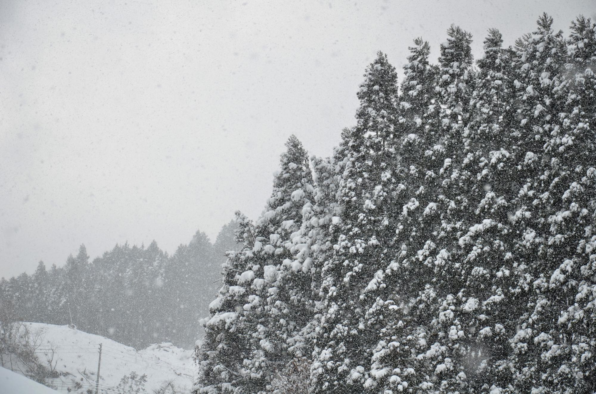 東峰村 雪
