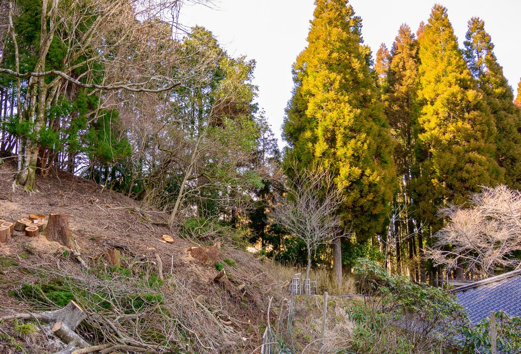福岡県朝倉郡東峰村の支障木伐採